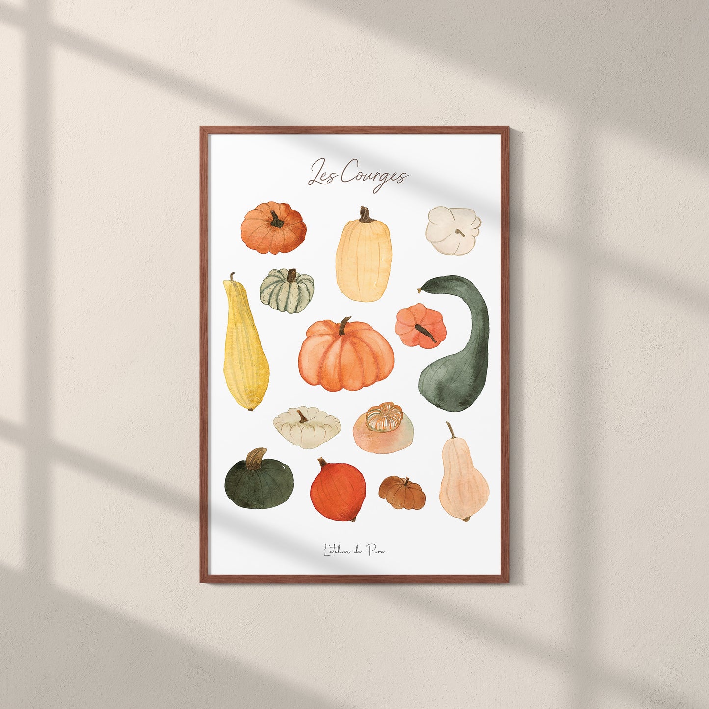 Affiche A4 - Les Courges