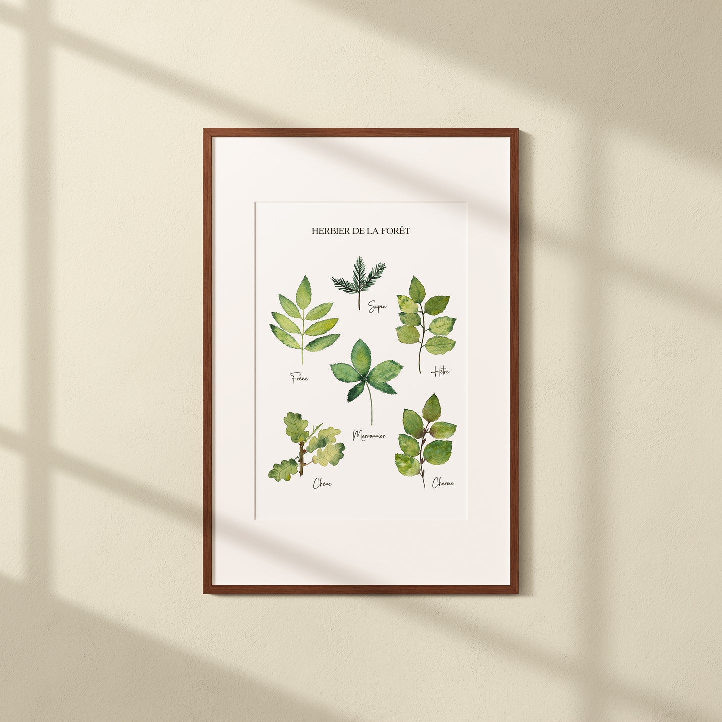 Affiche A5 - Herbier de la forêt