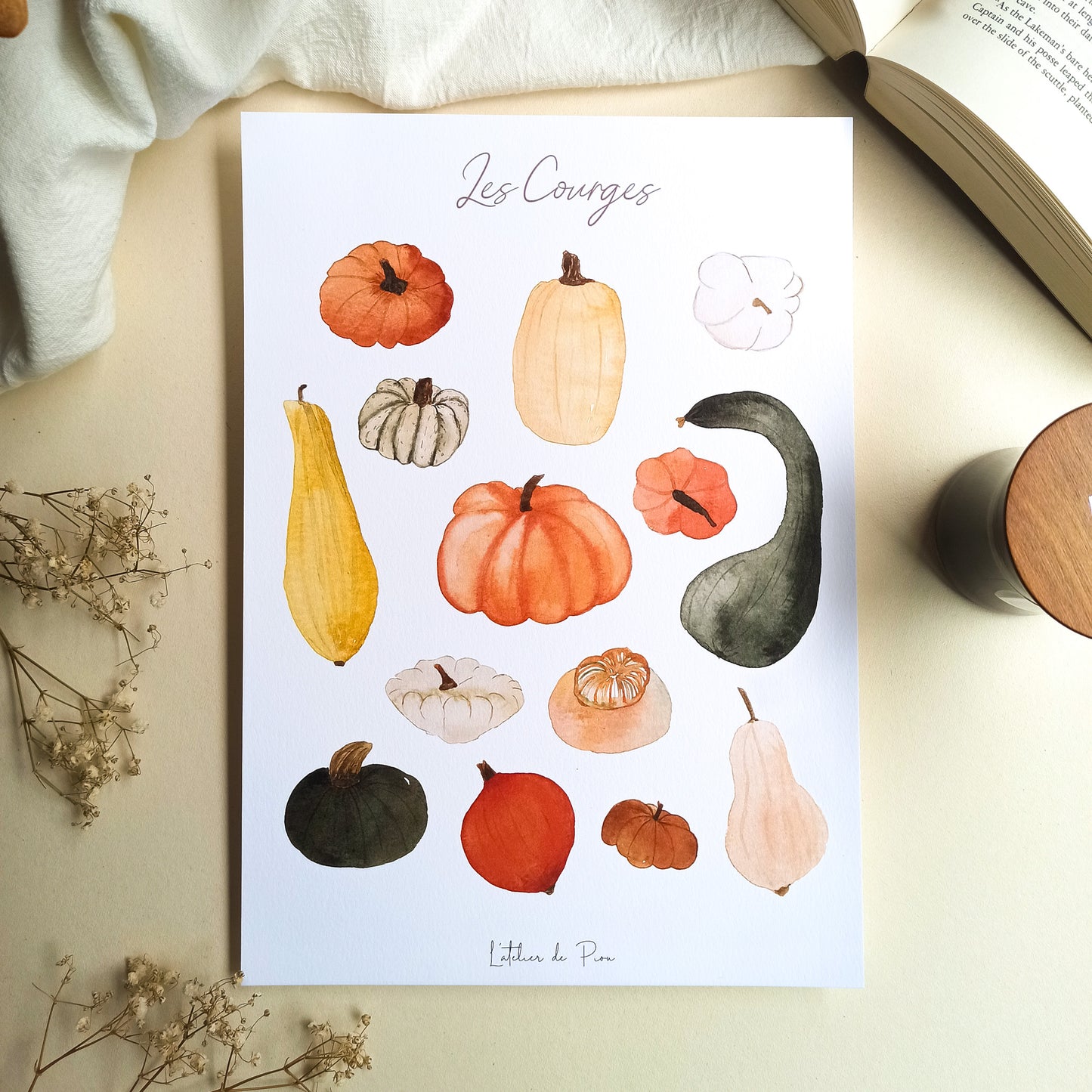 Affiche A4 - Les Courges