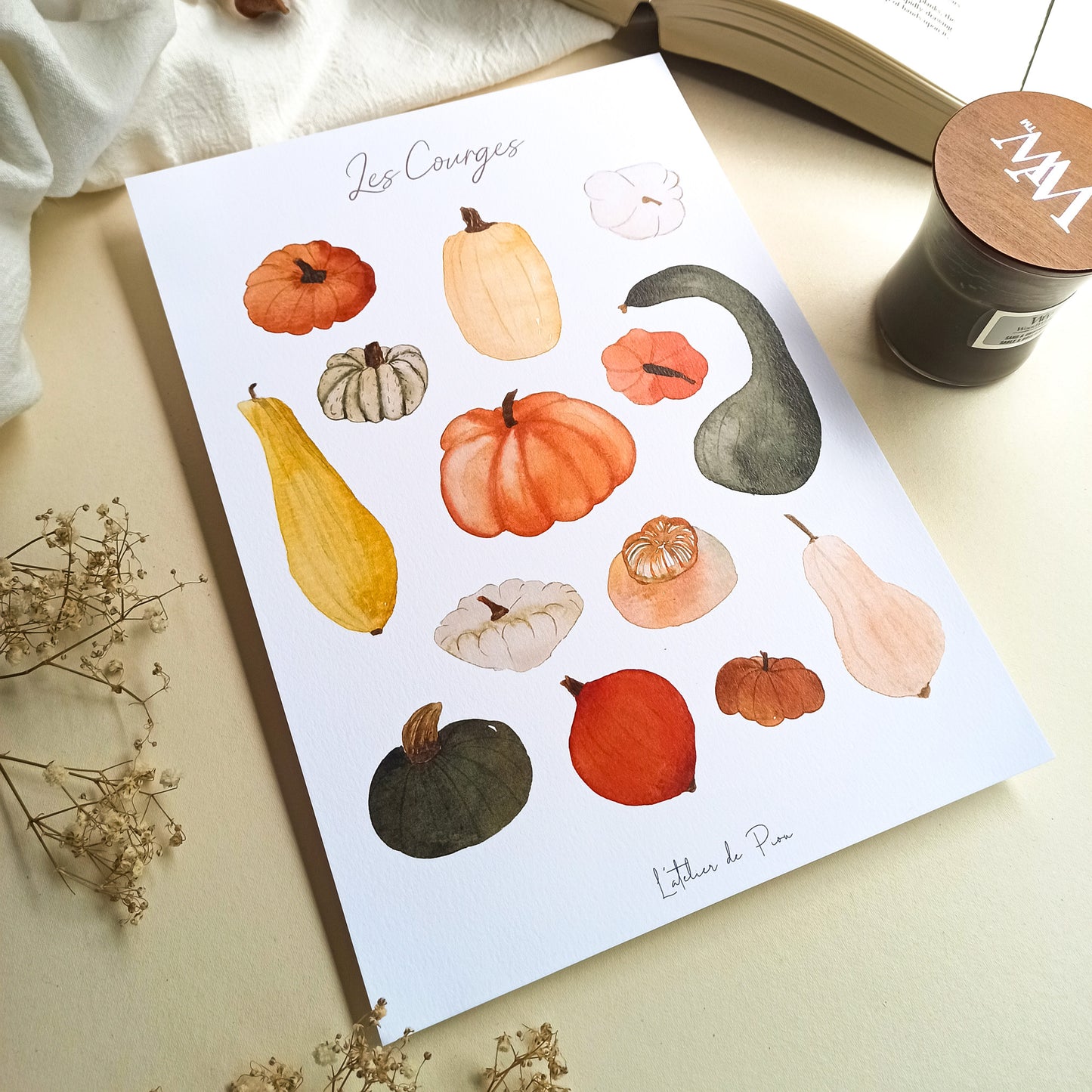 Affiche A4 - Les Courges