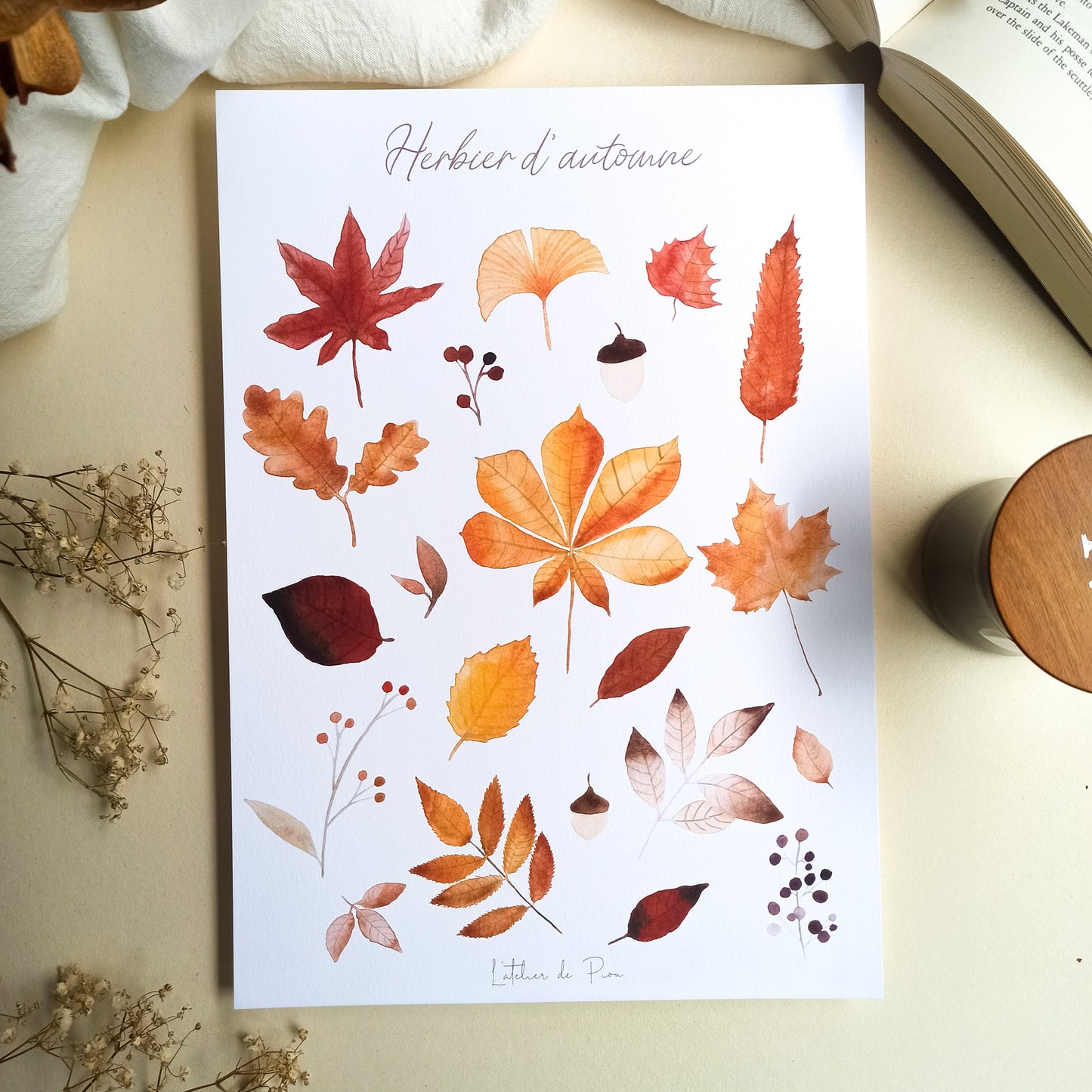 Affiche A4 - Herbier d'automne