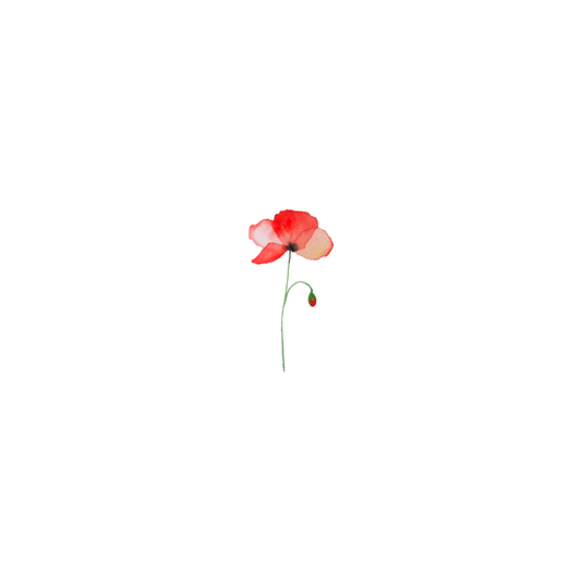 Le coquelicot à l'aquarelle