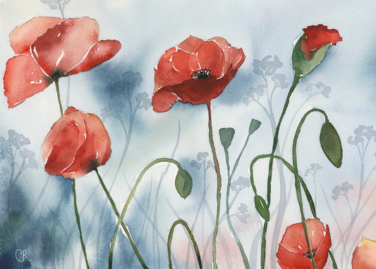 Le coquelicot à l'aquarelle